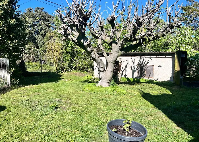 Logement Provencal Au Calme A 20 Min D\'Avignon